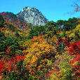 韩国五台山 韩国五台山