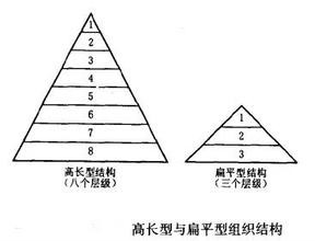 等级制组织 等级制组织