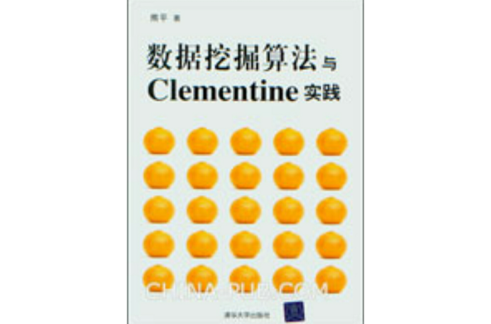 数据挖掘算法与Clementine实践 数据挖掘算法与Clementine实践