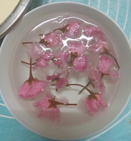 樱花冻优酪乳芝士蛋糕