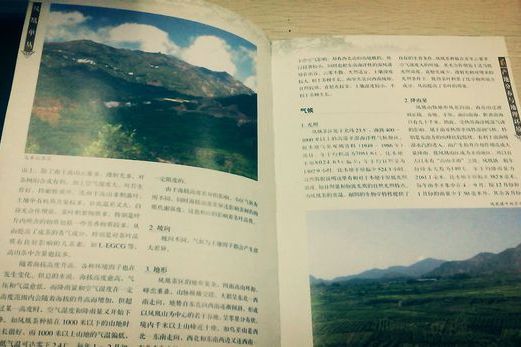 或许(诗歌) 或许(诗歌)