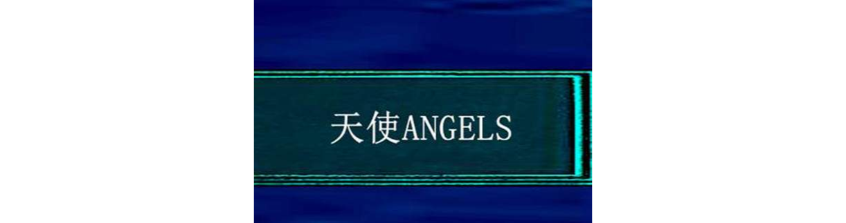 天使Angels 天使Angels