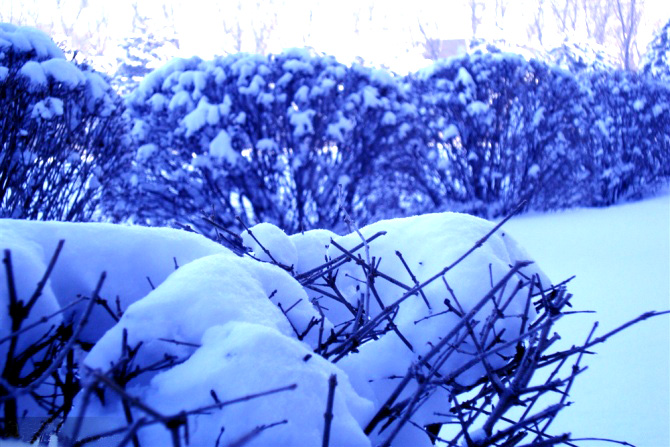 大雪 大雪