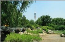 植物园 植物园