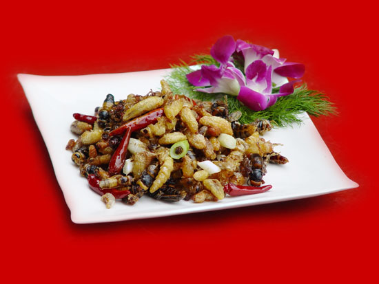 胡蜂蛹菜 胡蜂蛹菜
