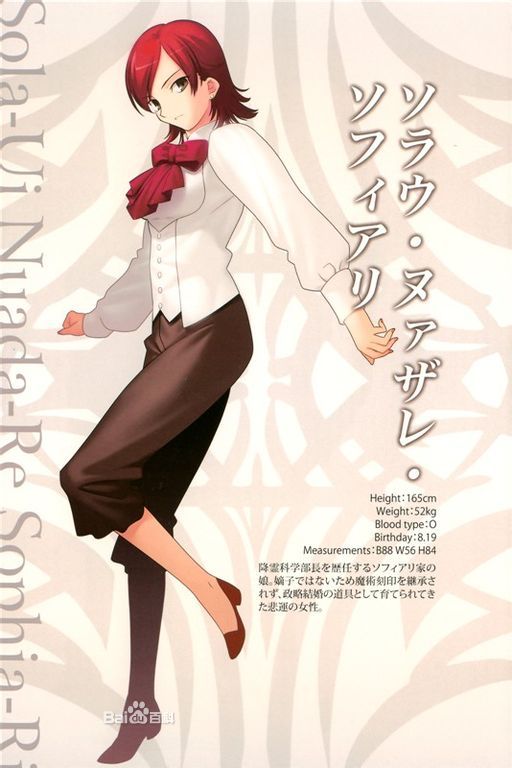 Fate/Zero(虚渊玄着作的轻小说)