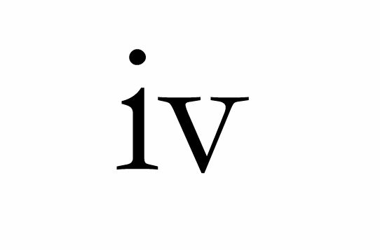 iv(大尺度写真) iv(大尺度写真)