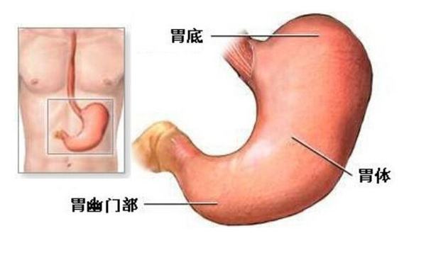 胃胀 胃胀