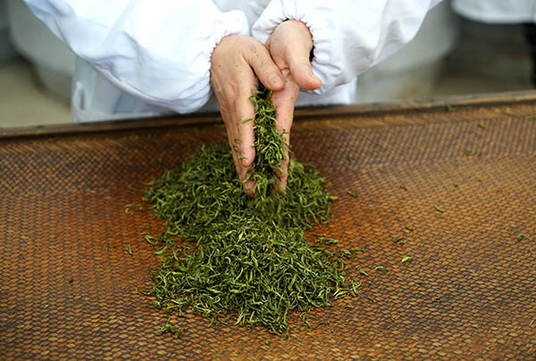 制茶 制茶