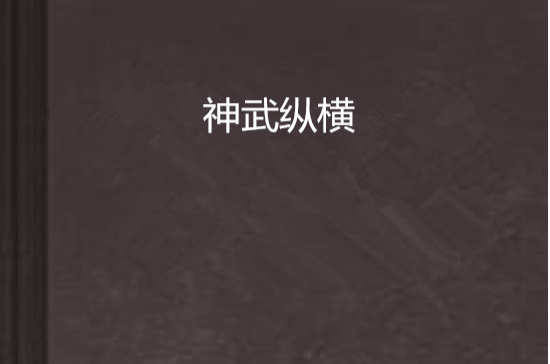 神武纵横 神武纵横