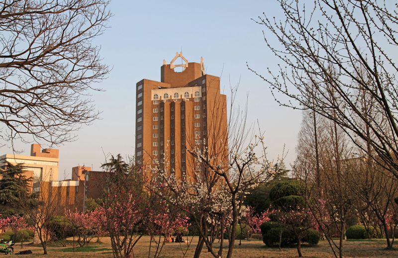 图书馆 图书馆
