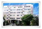 四川林飞数码科技有限公司 四川林飞数码科技有限公司