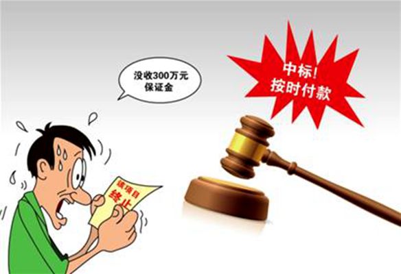 竞买保证金 竞买保证金