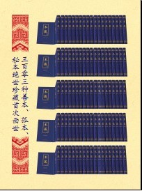 《术藏》100卷 《术藏》100卷