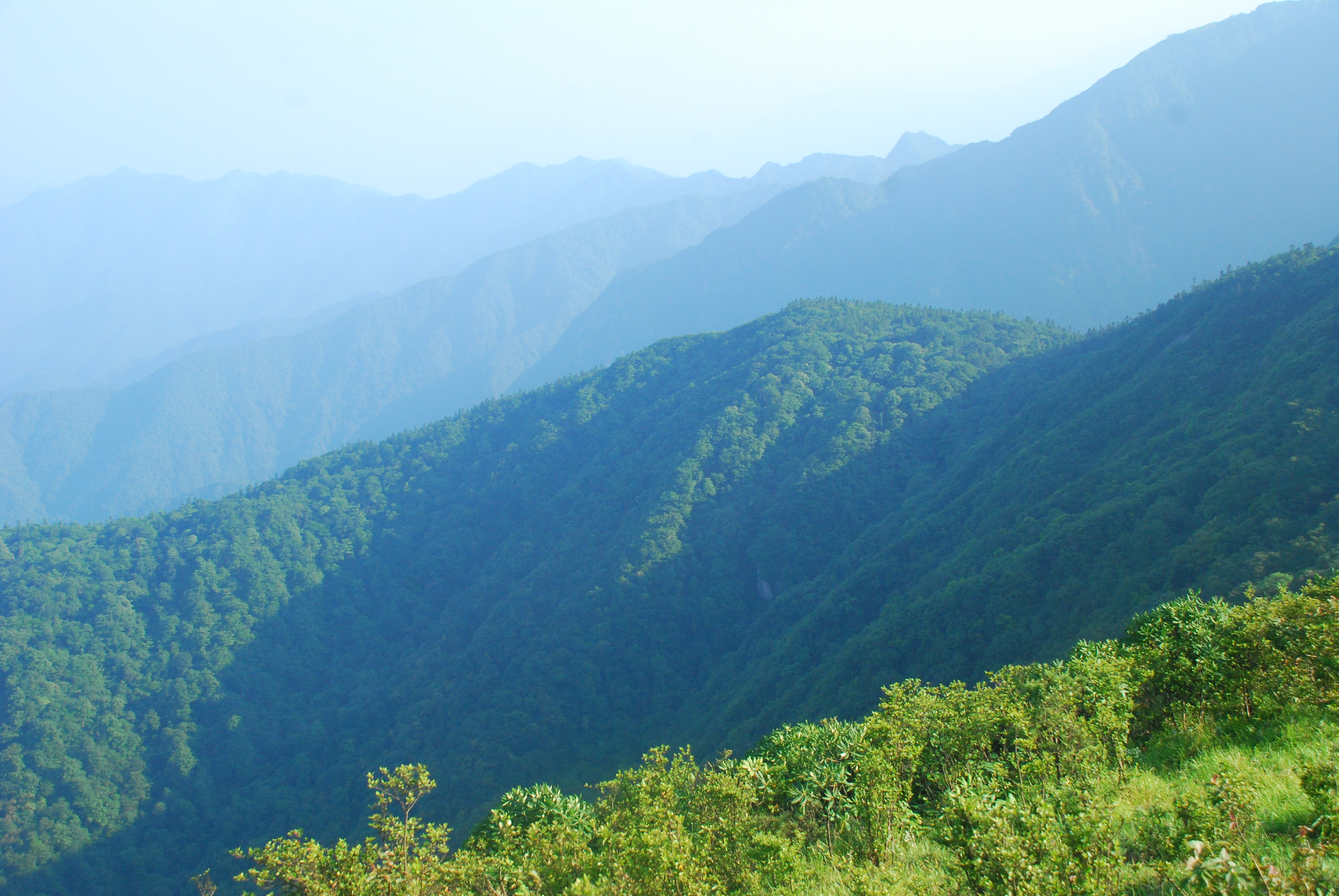 湖南舜皇山国家级自然保护区 湖南舜皇山国家级自然保护区