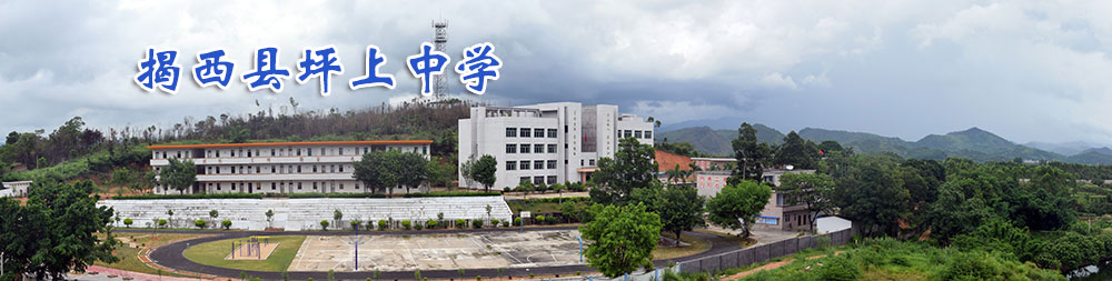 坪上中学 坪上中学