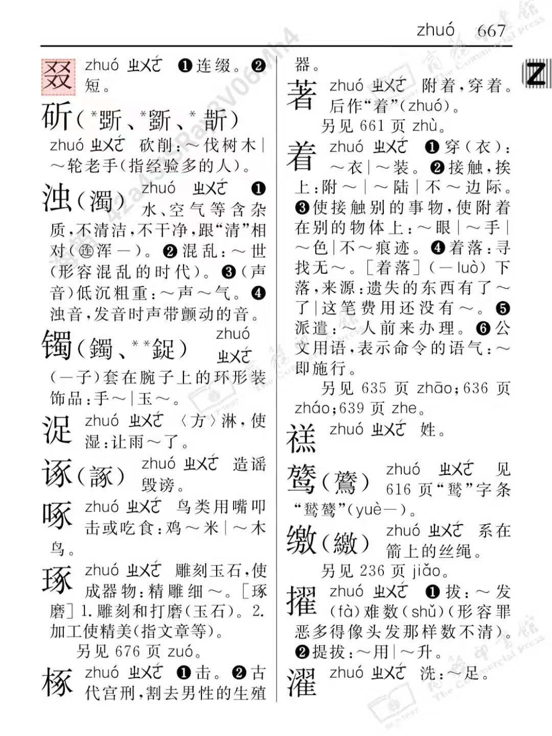 又双叒叕 又双叒叕