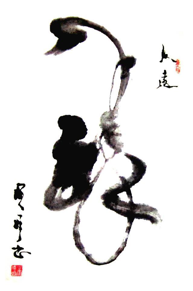 朱 朱