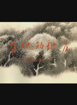 段博文