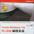 Oracle Database 11g PL/SQL编程实战 Oracle Database 11g PL/SQL编程实战
