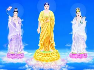 华严宗 华严宗