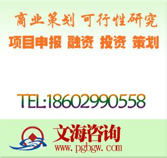 立项报告书 立项报告书