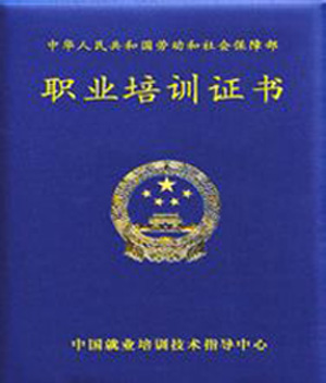 高考志愿填报指导师 高考志愿填报指导师