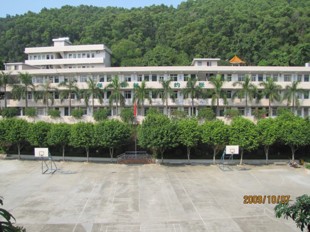 东莞市虎门镇太平国小 东莞市虎门镇太平国小