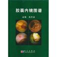胶囊内镜图谱 胶囊内镜图谱