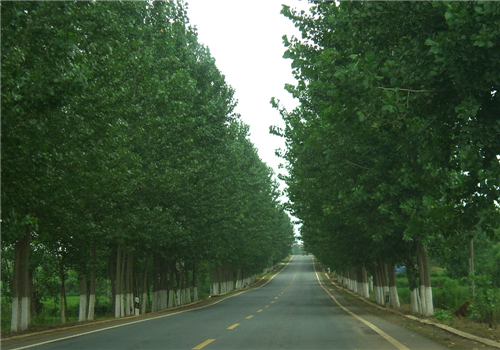 万福村(吉林省白山市抚松县万良镇下辖村) 万福村(吉林省白山市抚松县万良镇下辖村)