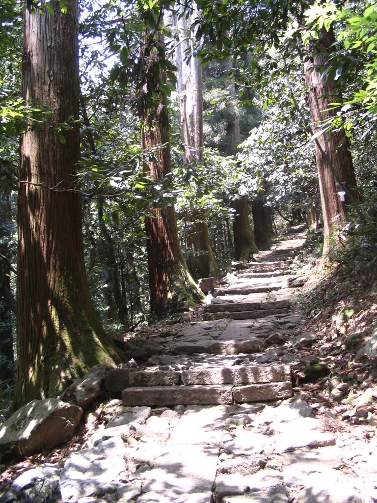浙江天目山国家级自然保护区 浙江天目山国家级自然保护区