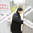 深圳沙井涉黑案 深圳沙井涉黑案