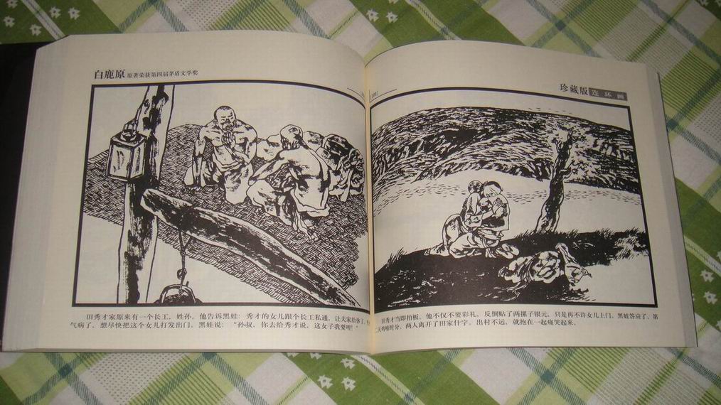 白鹿原(连环画) 白鹿原(连环画)