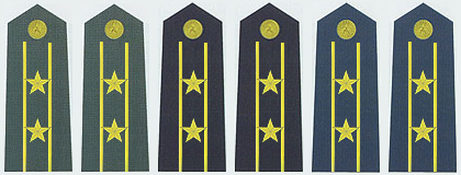陆海空军中校常服肩章(2007-) 陆海空军中校常服肩章(2007-)