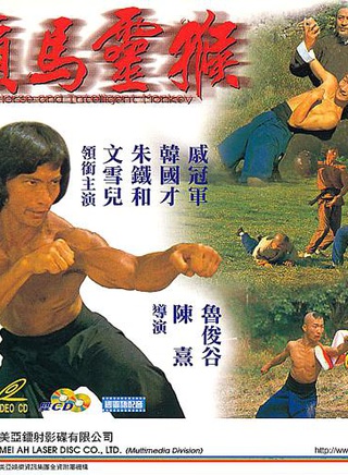 关海山(中国香港男演员)