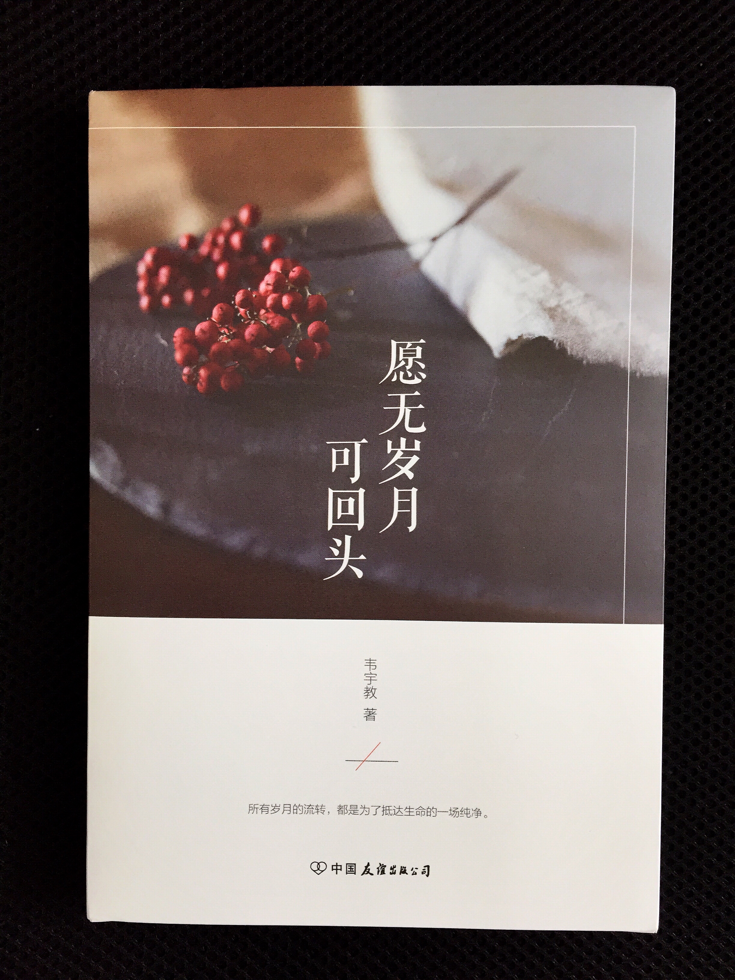 愿无岁月可回头(出版物) 愿无岁月可回头(出版物)