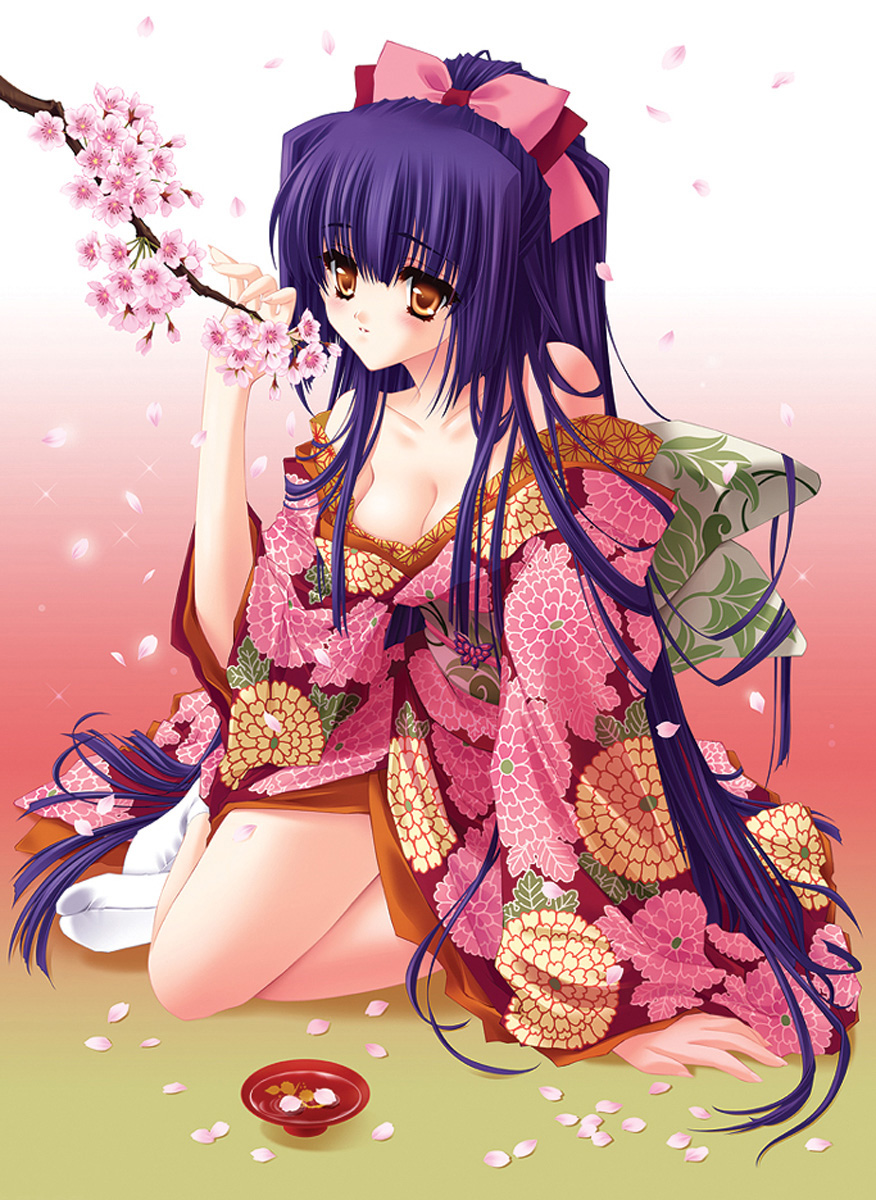 DVD Collectors Edition Renewal版 DVD Collectors Edition Renewal版