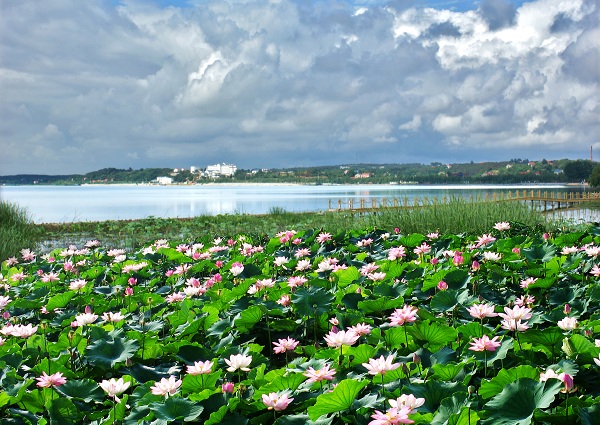 钟祥(湖北省下辖县级市)