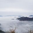 天目山(临安天目山) 天目山(临安天目山)
