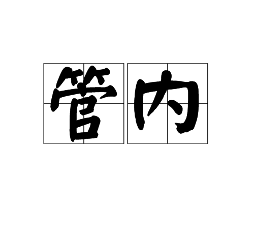 管内