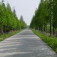 公路工程(公路建筑管理术语) 公路工程(公路建筑管理术语)