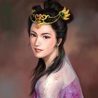 三国志11的卞夫人 三国志11的卞夫人