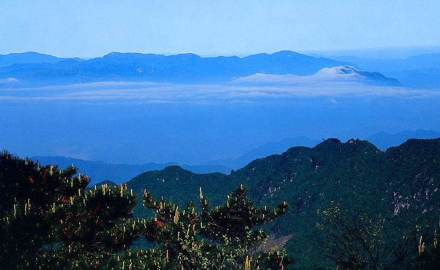 天目山(临安天目山) 天目山(临安天目山)