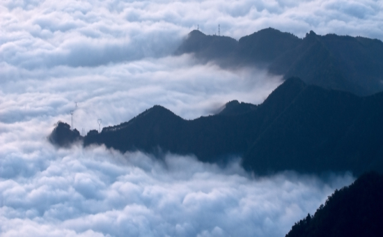 保护区风景 保护区风景