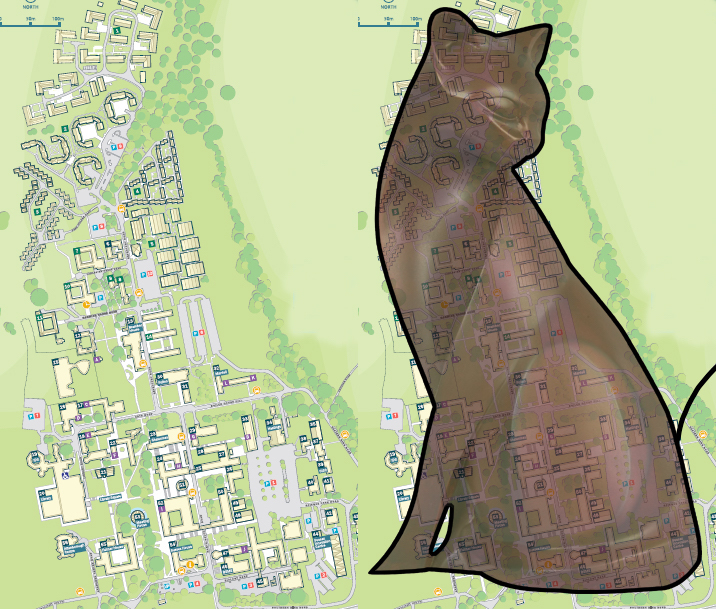 像猫咪形状的校园 像猫咪形状的校园