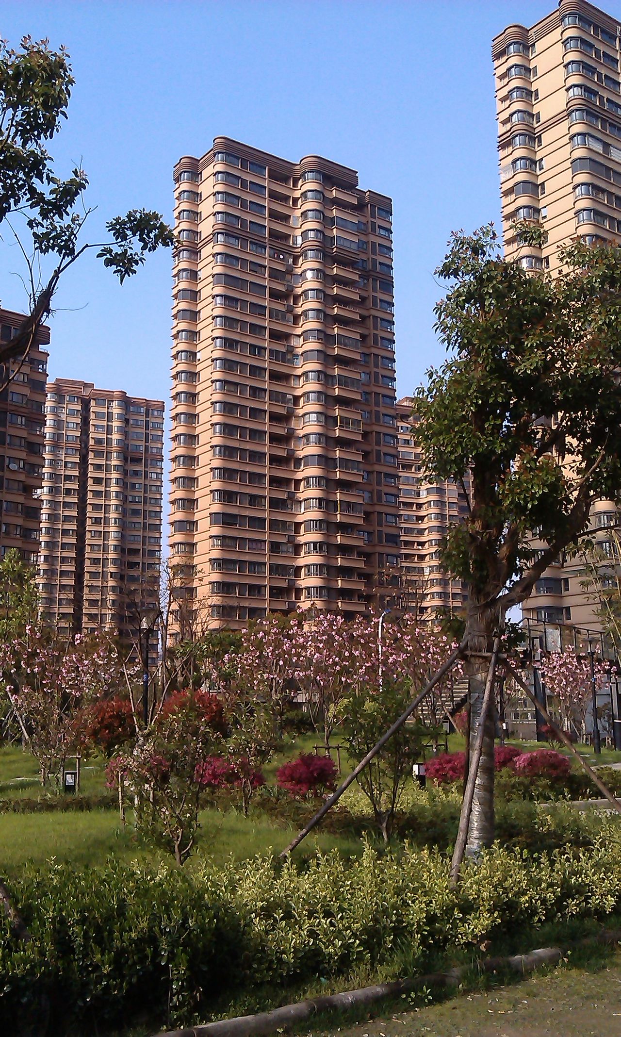 小区实景 小区实景
