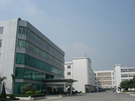 社区一角 社区一角