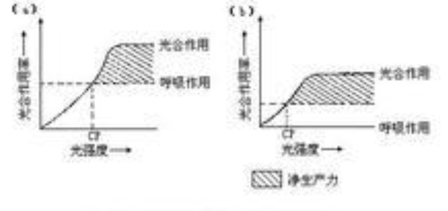光照强度对植物影响 光照强度对植物影响