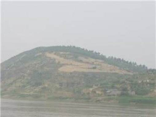 凤台县(凤台（中国县份）)