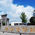 钟祥市博物馆 钟祥市博物馆
